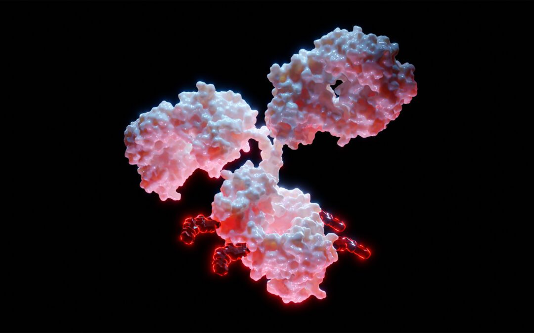 We are expanding: Join our Team!!