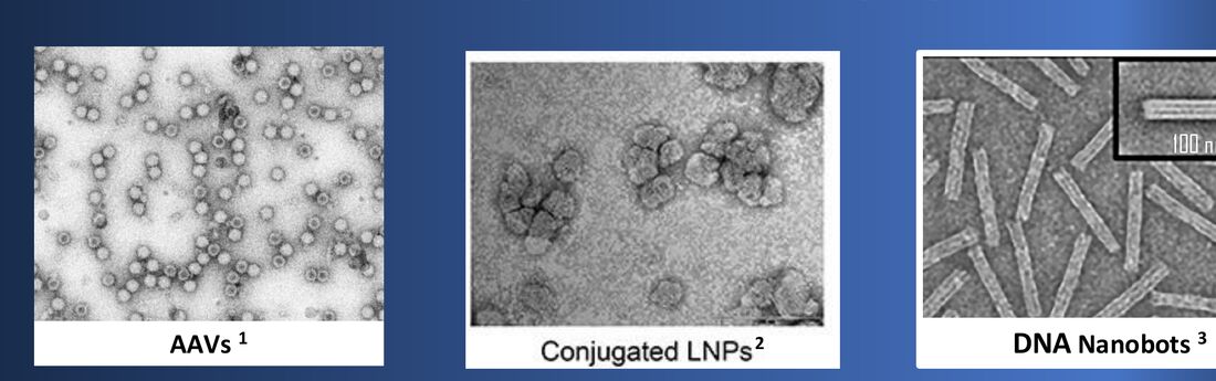 Transmission electron micrograph of folded DNA-origami structures